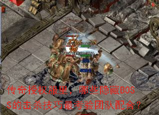 ������Ȩ�����Щ����BOSS�Ļ�ɱ��������Ŷ���ϣ�