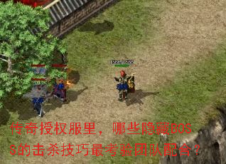 ������Ȩ�����Щ����BOSS�Ļ�ɱ��������Ŷ���ϣ�