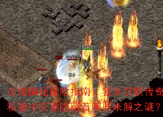 ��������̽��ָ�ϣ��ұ���Ĭ����˽���о�����������Щδ��֮�գ�