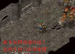 ������ο������������������ɱ�������