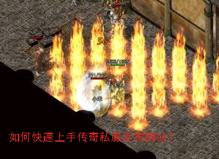 ��ο������ִ���˽��������վ��