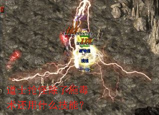 道士抢怪除了施毒术还用什么技能? 道士抢怪除了施毒术还用什么技能?