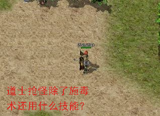 道士抢怪除了施毒术还用什么技能? 道士抢怪除了施毒术还用什么技能?