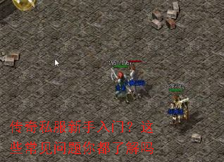 ����˽���������ţ���Щ���������㶼�˽���