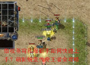 ���Ӳ��˽��������ο������֣������ɱ䴫������ȫ����