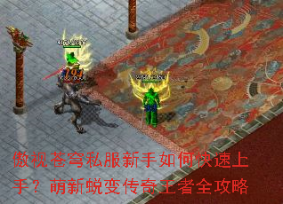 ���Ӳ��˽��������ο������֣������ɱ䴫������ȫ����