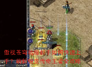 ���Ӳ��˽��������ο������֣������ɱ䴫������ȫ����