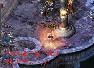 ����˽����������ο�������ս������