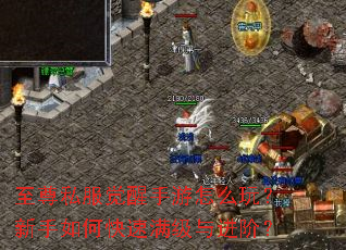 至尊私服觉醒手游怎么玩?新手如何快速满级与进阶? 至尊私服觉醒手游怎么玩?新手如何快速满级与进阶?