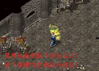 至尊私服觉醒手游怎么玩?新手如何快速满级与进阶? 至尊私服觉醒手游怎么玩?新手如何快速满级与进阶?