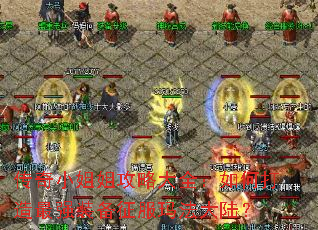 ����С��㹥�Դ�ȫ����δ�����ǿװ�������귨��½��