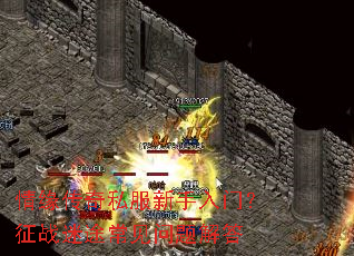 情缘传奇私服新手入门?征战迷途常见问题解答 情缘传奇私服新手入门?征战迷途常见问题解答