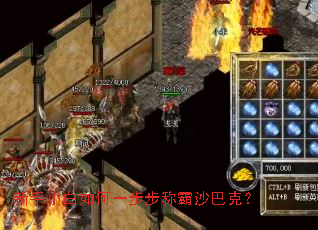 新手小白如何一步步称霸沙巴克? 新手小白如何一步步称霸沙巴克?