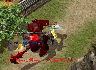 新手小白如何一步步称霸沙巴克? 新手小白如何一步步称霸沙巴克?