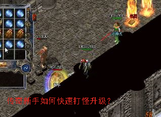 ����������ο��ٴ��������