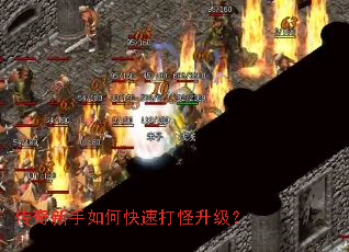 ����������ο��ٴ��������