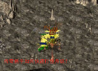 ����������ο��ٴ��������