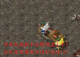 传奇私服新手如何快速上手?老玩家有哪些高效升级技巧? 传奇私服新手如何快速上手?老玩家有哪些高效升级技巧?