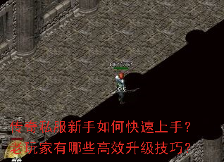 传奇私服新手如何快速上手?老玩家有哪些高效升级技巧? 传奇私服新手如何快速上手?老玩家有哪些高效升级技巧?