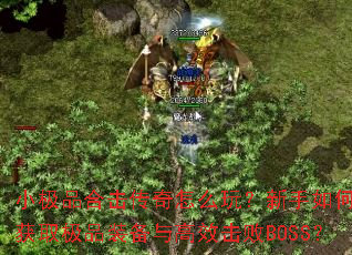 С��Ʒ�ϻ�������ô�棿������ο��ٻ�ȡ��Ʒװ�����Ч����BOSS��