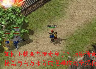 如何下载变态传奇盒子?顶级传奇秘籍与百万服养成逆袭攻略全揭秘 如何下载变态传奇盒子?顶级传奇秘籍与百万服养成逆袭攻略全揭秘