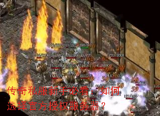 ����˽�����ֱؿ������ѡ��ٷ���Ȩ��������