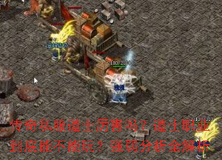 传奇私服道士厉害吗?道士职业到底能不能玩?强弱分析全解析 传奇私服道士厉害吗?道士职业到底能不能玩?强弱分析全解析