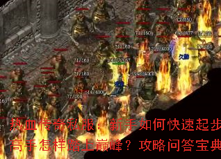 ��Ѫ����˽����������ο����𲽣���������̤���۷壿�����ʴ𱦵�