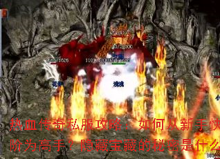 ��Ѫ����˽�����ԣ���δ����ֿ��ٽ���Ϊ���֣����ر��ص�������ʲô��