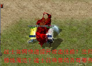 սʿ��ο��������������ܣ���ʦ������Ч����ħ������ʿ�ٻ�����������Щ���ϣ�