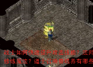 սʿ��ο��������������ܣ���ʦ������Ч����ħ������ʿ�ٻ�����������Щ���ϣ�