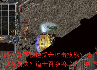 սʿ��ο��������������ܣ���ʦ������Ч����ħ������ʿ�ٻ�����������Щ���ϣ�