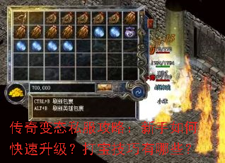 传奇变态私服攻略:新手如何快速升级?打宝技巧有哪些? 传奇变态私服攻略:新手如何快速升级?打宝技巧有哪些?