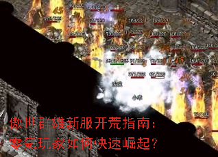 ����Ⱥ���·�����ָ�ϣ���������ο�������