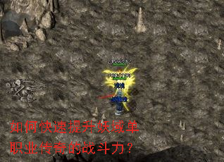 ��ο�����������ְҵ�����ս������