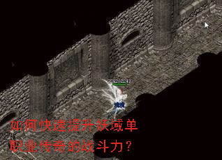 ��ο�����������ְҵ�����ս������