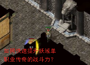 ��ο�����������ְҵ�����ս������