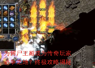 Ϊ��ʬ�����Ϊ������ұ���֮�أ��ռ����Խ���