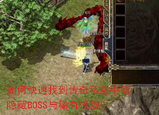 ��ο����ҵ�����˽���е�����BOSS��ϡ�й��