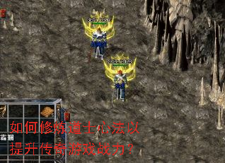 ���������ʿ�ķ�������������Ϸս����