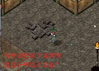 ������Ϸ������ο��������ȼ���װ����