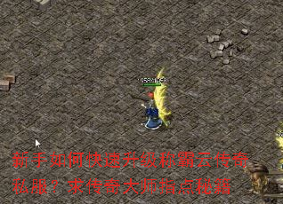 ������ο��������ư��ƴ���˽���������ʦָ���ؼ�