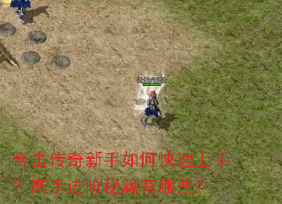 �ϻ�����������ο������֣����ֽ����ؼ�����Щ��