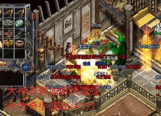 ���������ο���������������ս������