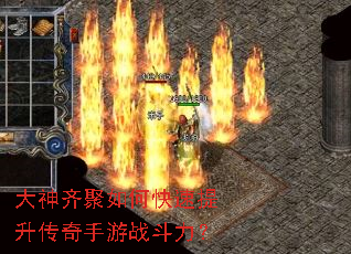 ���������ο���������������ս������