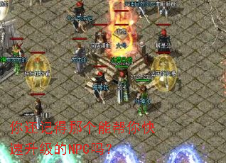 �㻹�ǵ��Ǹ��ܰ������������NPC��