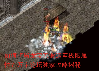 ��ν����������������������ԣ�������̳���ҹ��Խ���