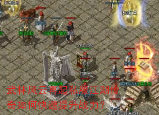 ���ַ�������˽������������ο�������ս����