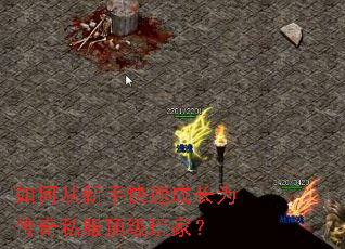 ��δ����ֿ��ٳɳ�Ϊ����˽��������ң�