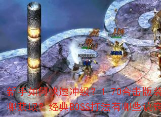 ������ο��ٳ弶��1.70�ϻ���װ�����Ļ�ȡ������BOSS������Щ���ϣ�